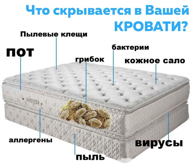 Профессиональная чистка кроватей в Киеве